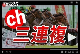 穴馬ch25の有料プラン［ch3連複］