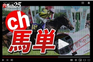 穴馬ch25の有料プラン［ch馬単］