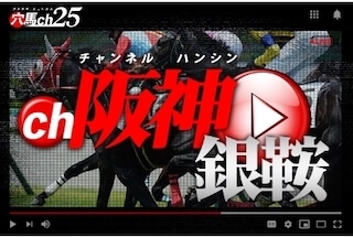 穴馬ch25の有料プラン［阪神銀鞍］