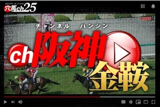 穴馬ch25の有料プラン［阪神金鞍］