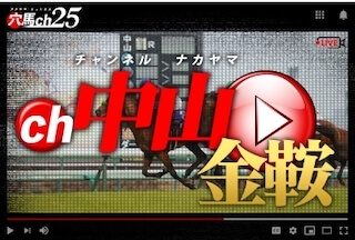 穴馬ch25の有料プラン［中山金鞍］